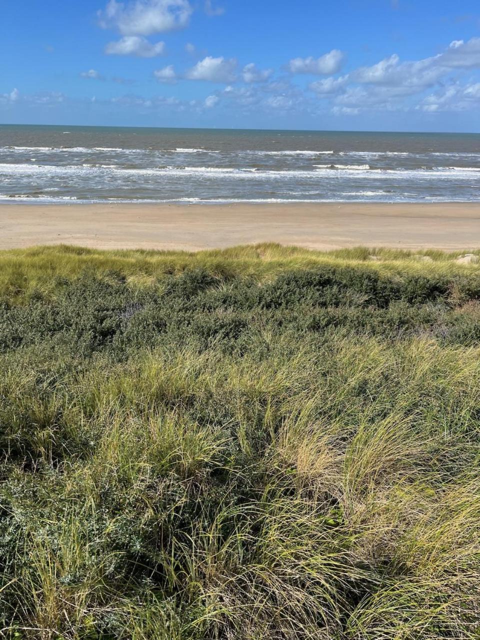 Studio34 Zandvoort Free Parking Екстериор снимка